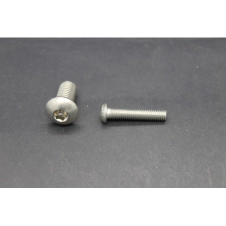 Vis Métaux Inox A2 TB Inviolable 6 Pans creux Têton central 6x30