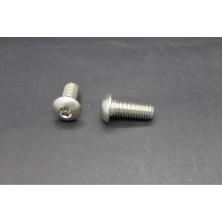 Vis Métaux Inox A2 TB Inviolable 6 Pans creux Têton central 10x25