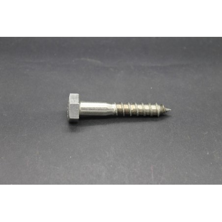 Tirefonds Inox A2 Din 571  10 X 60