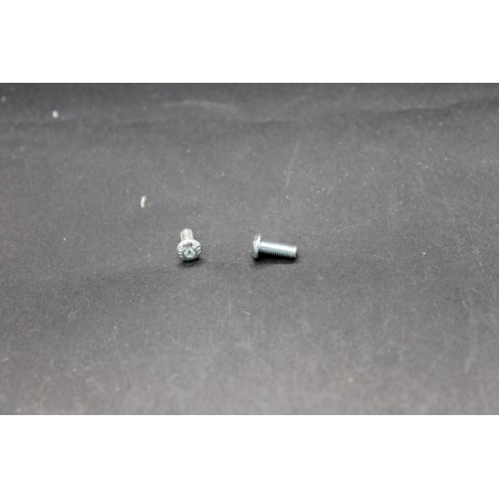 Vis BHC Din 7380 Classe 10.9 Acier Zingué  3 X 10