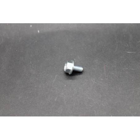 Vis Métaux TH à Embase Acier Zingué 6 X 10