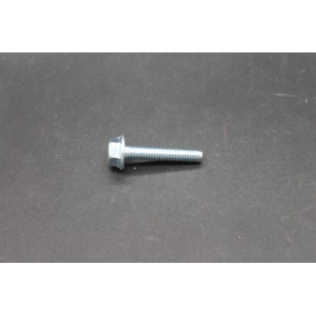 Vis Métaux TH à Embase Acier Zingué 6 X 30