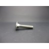 Boulon TRCC Inox A2 12X60