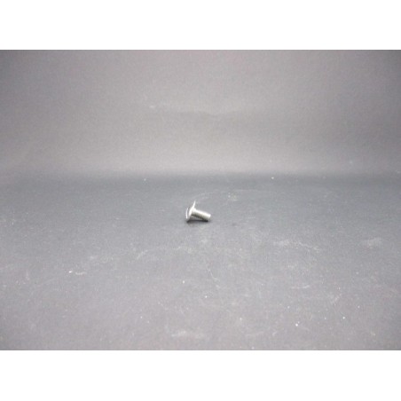 Vis Poeliers Inox A2   4X8