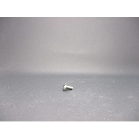 Vis Poeliers Inox A2   4X10