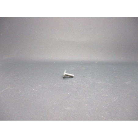 Vis Poeliers Inox A2   4X12