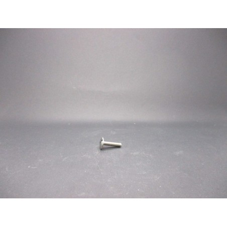 Vis Poeliers Inox A2   4X16