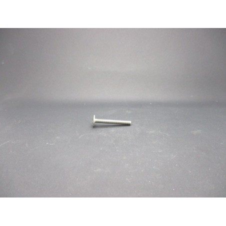 Vis Poeliers Inox A2   4X30
