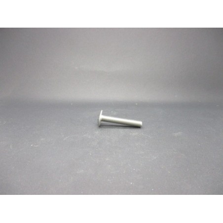 Vis Poeliers Inox A2   6X35