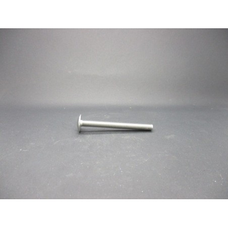 Vis Poeliers Inox A2   6X60