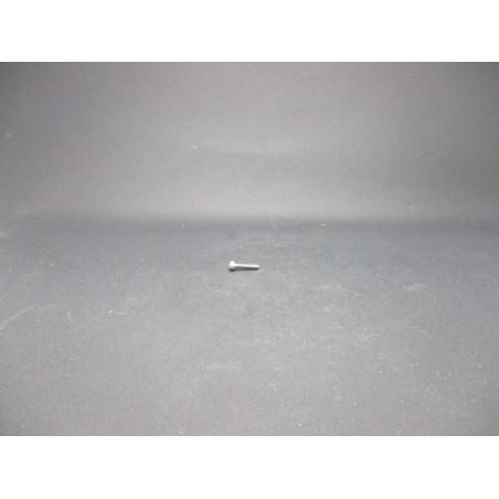Vis CHC Din 912 Inox A2-70   2 X 10
