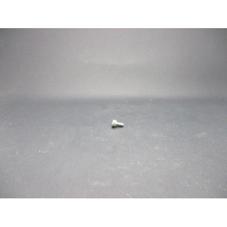 Vis CHC Din 912 Inox A2-70   3 X 6