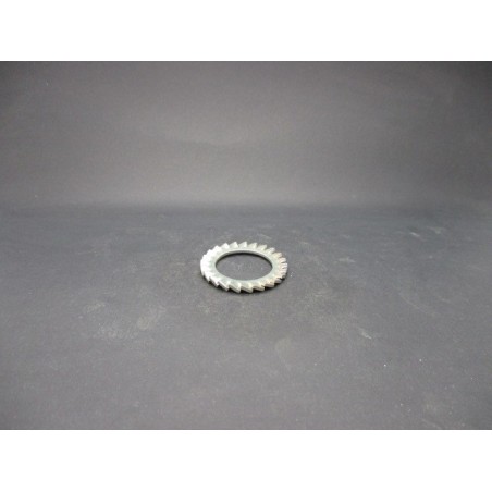 Rondelles Eventail AZ Acier ZN 24mm
