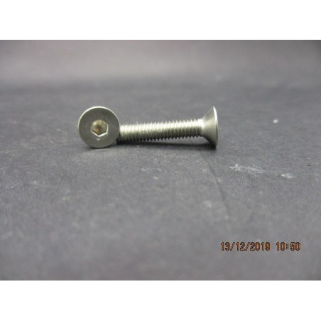 Vis FHC Inox 4x20