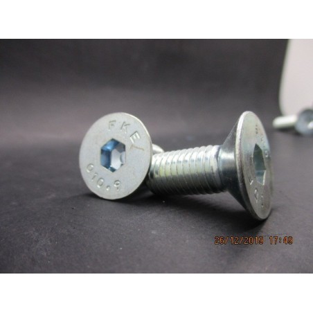 Vis FHC Zingué 10.9 12x30