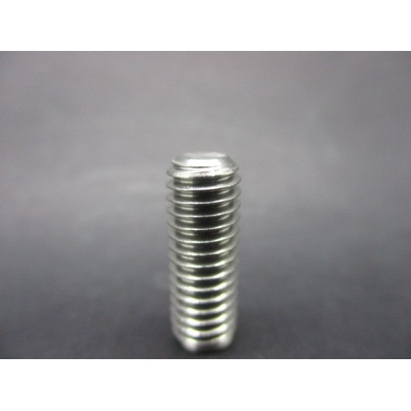 Vis STHC Bout plat INOX 6x16