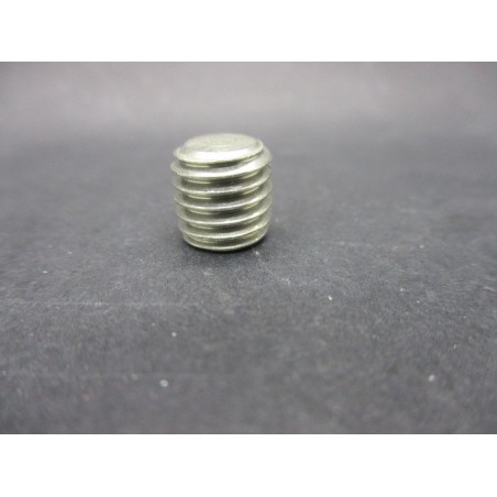 Vis STHC Bout plat INOX 10x10