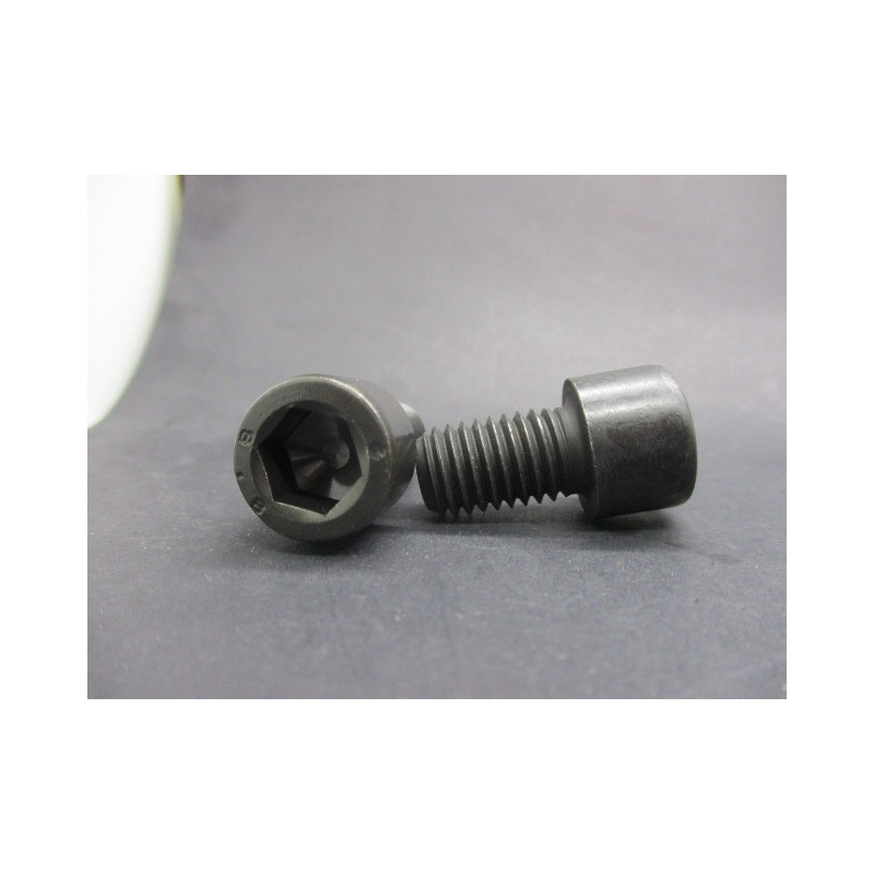 Vis CHC Din 912 Classe 8.8 Acier Brut 12x20