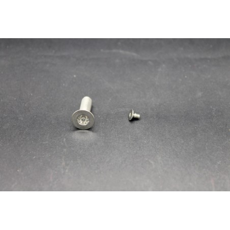 Vis Métaux Inox A2 TF Inviolable Torx Têton central 3x6