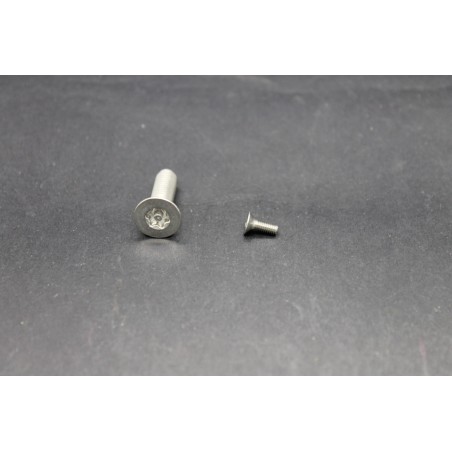 Vis Métaux Inox A2 TF Inviolable Torx Têton central 3x8