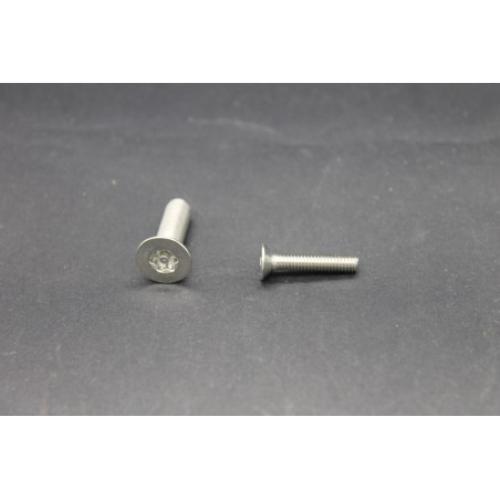 Vis Métaux Inox A2 TF Inviolable Torx Têton central 4x20
