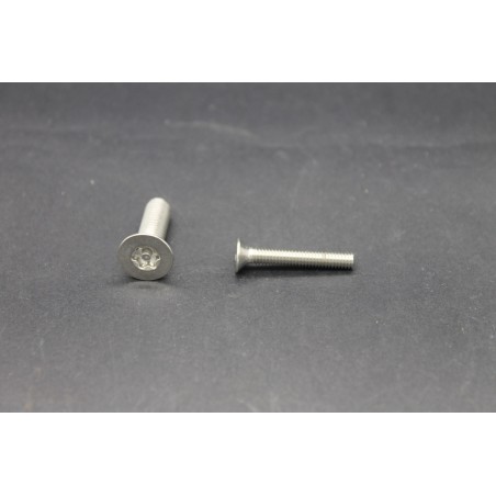 Vis Métaux Inox A2 TF Inviolable Torx Têton central 4x25