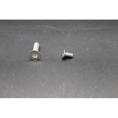Vis Métaux Inox A2 TF Inviolable Torx Têton central 5x10