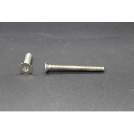 Vis Métaux Inox A2 TF Inviolable Torx Têton central 5x40