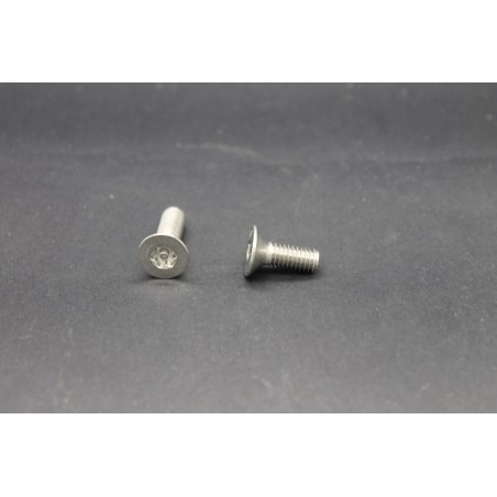 Vis Métaux Inox A2 TF Inviolable Torx Têton central 6x16