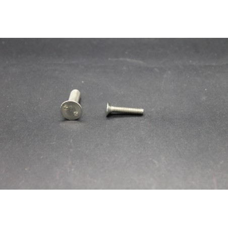 Vis Métaux Inox A2 TF Inviolable Snake-Eye 4x20