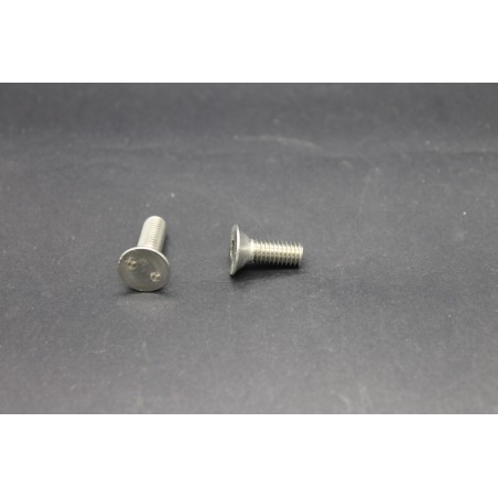 Vis Métaux Inox A2 TF Inviolable Snake-Eye 6x16