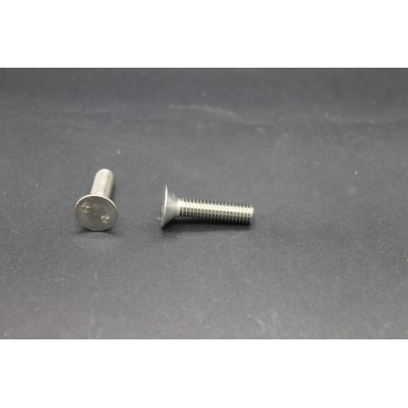 Vis Métaux Inox A2 TF Inviolable Snake-Eye 6x25