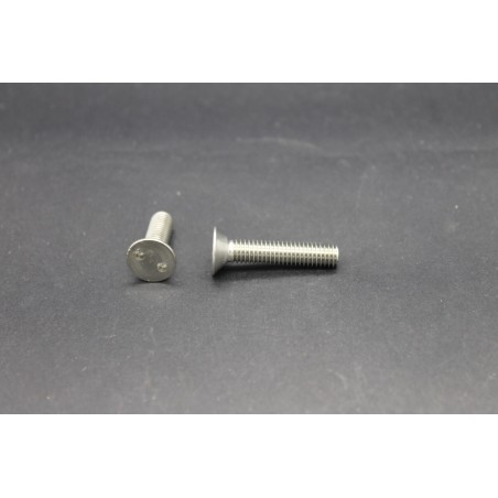 Vis Métaux Inox A2 TF Inviolable Snake-Eye 6x30