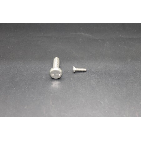 Vis Métaux Inox A2 TB Inviolable Snake-Eye 3x10