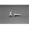 Vis Métaux Inox A2 TB Inviolable Snake-Eye 6x20