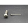 Vis Métaux Inox A2 TB Inviolable Torx Têton central 4x40