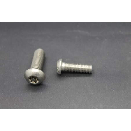 Vis Métaux Inox A2 TB Inviolable Torx Têton central 8x25