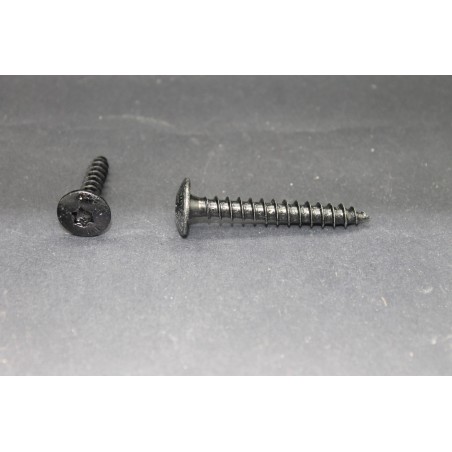 Vis de Penture TC Large Torx Acier Zingué Noir 7 X 50
