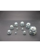 Ecrous Borgnes Din 1587